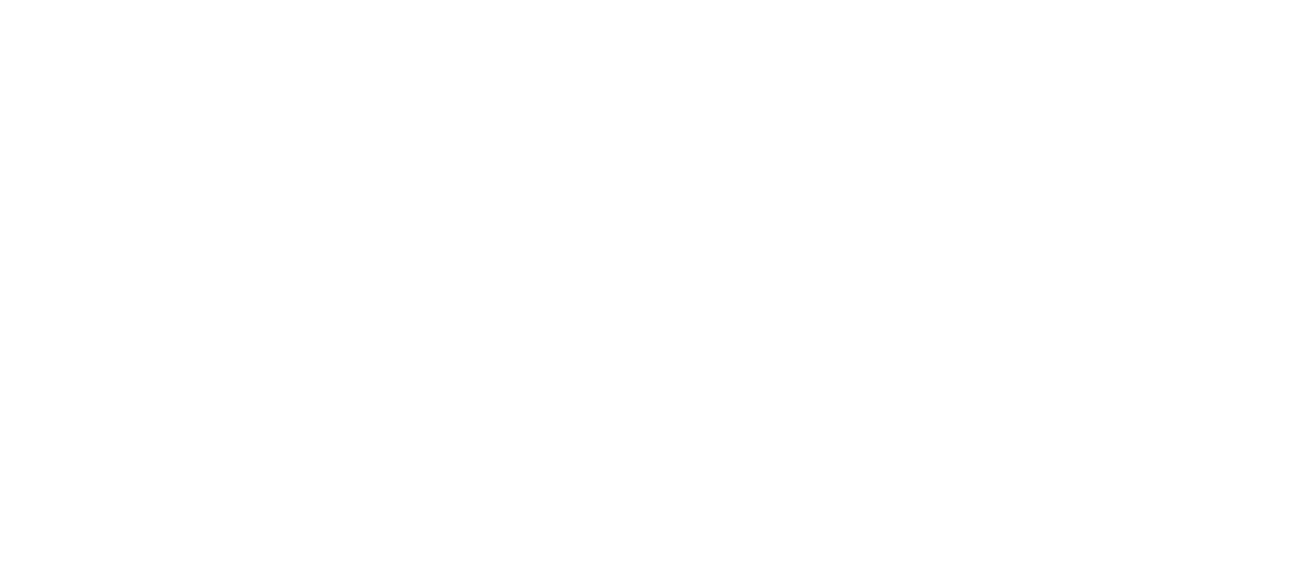 RDS logo white 1